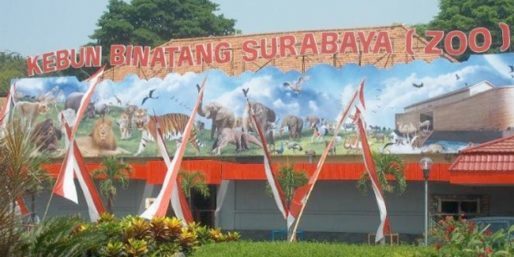 Kebun Binatang Surabaya (KBS)